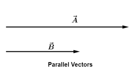 Parallel vectors