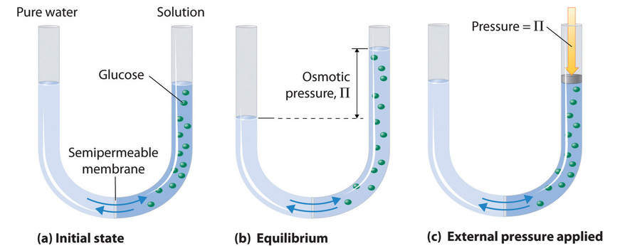 Osmotic Pressure Equation