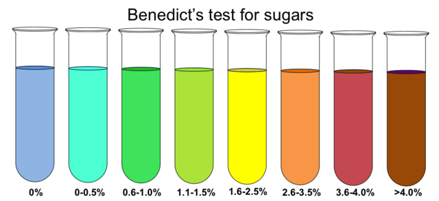 Benedict's test for sugars