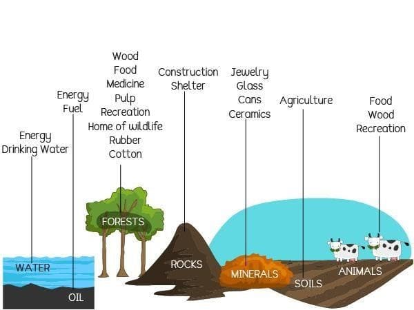 Types Of Natural Resources With Examples Teachoo Concepts - Riset