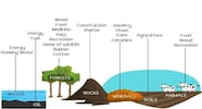 Types Natural Resources Overview Structure Properties Uses