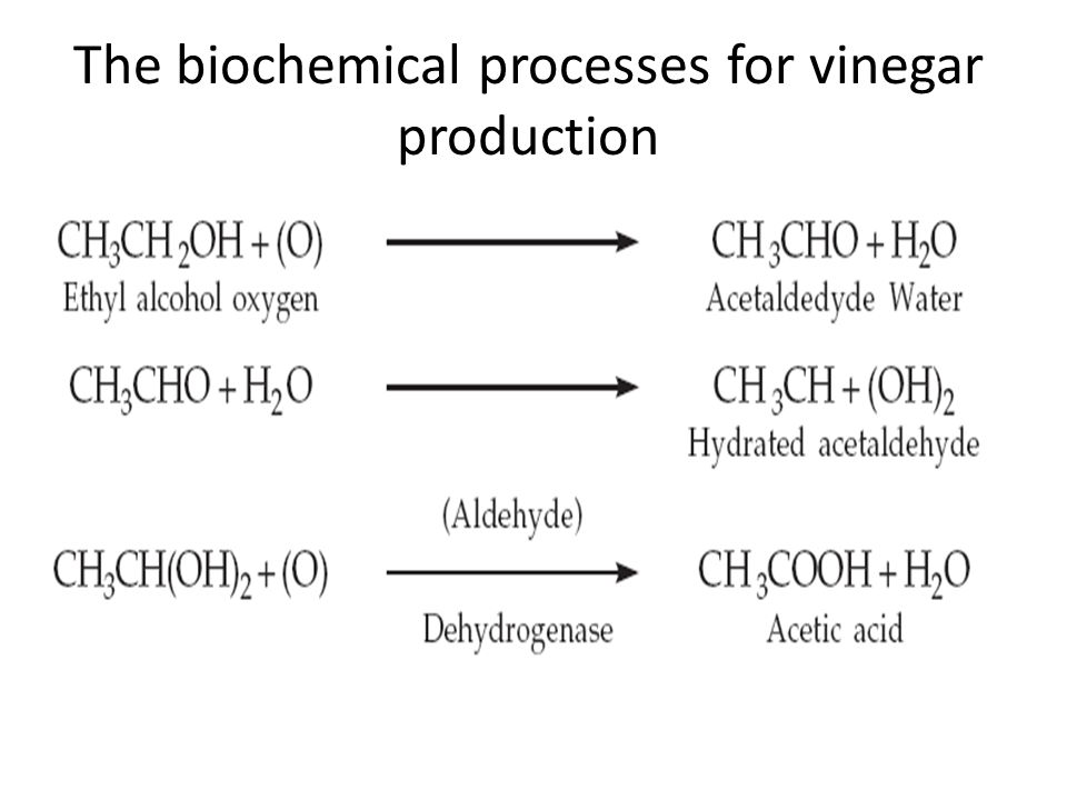 formation of vinegar from alcohol is caused by acetic acid bacteria