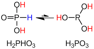 Tautomerism in phosphorous acid