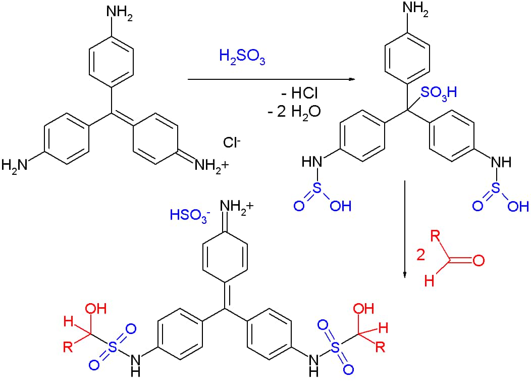 Pauly's test: Principle, Reaction, Reagents, Procedure and Result  Interpretation