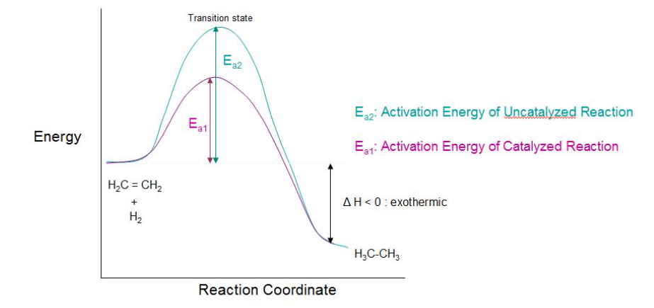 energy profile diagram of catalytic hydrogenation reaction