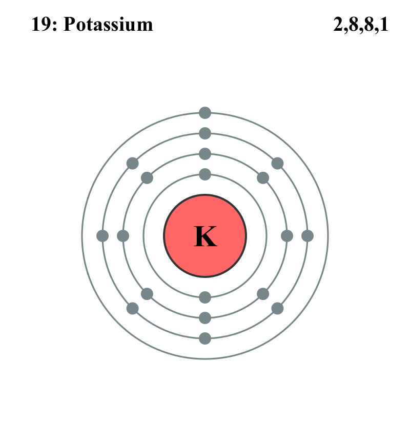 Potassium K atomic number is due to presence of two electrons in K shell, eight electron in L and M shell and one electron in N shell. The last electron is easily lost from potassium atom to form potassium ion K+ which leads to decrease in atomic no of K potassium. The atomic number of K + is 18. The electronic structure of potassium can be represented as 1s22s22p63s23p64s1 or [Ar]4s1.