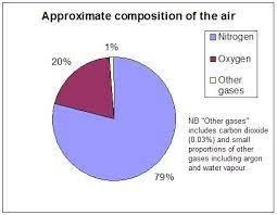 Figure showing the composition of air