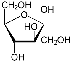 Furanose structure of glucose