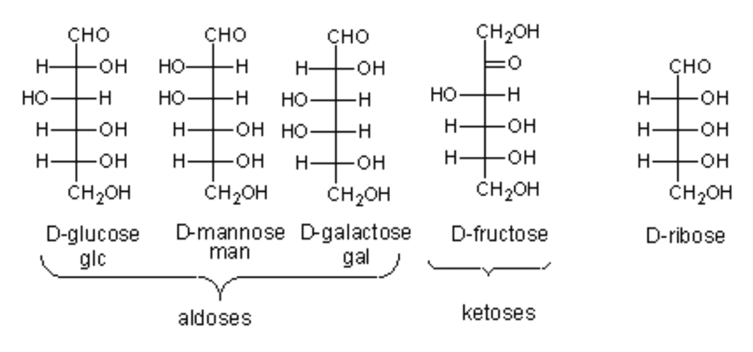 chemical structure of glucose chain form