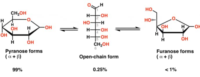 pyranose and furanose of glucose