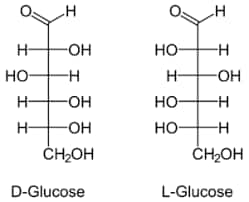 types of glucose in fischer projection