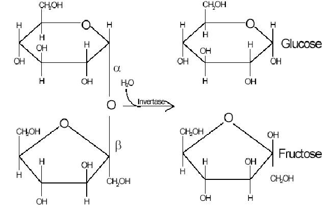 structure of glucose and fructose - Overview, Structure, Properties & Uses