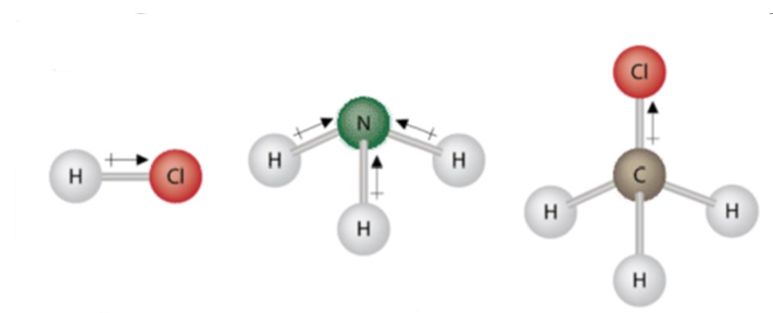 examples of polar molecules