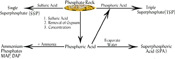 general manufacturing process of phosphate fertilizer