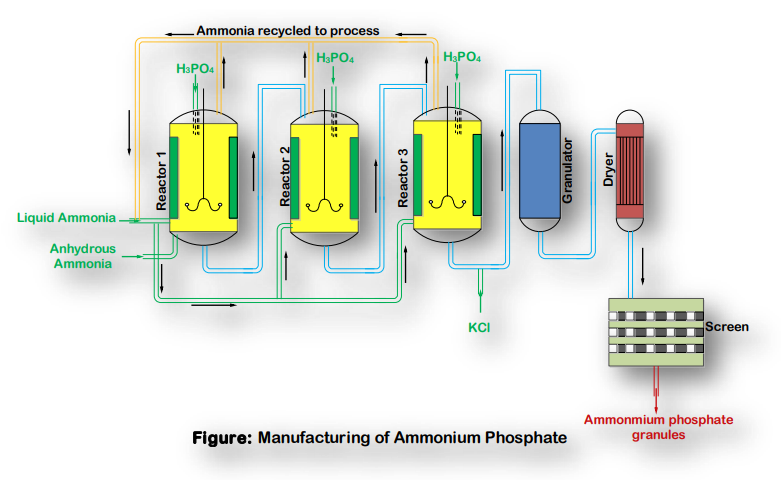 manufacturing of ammonium phosphate