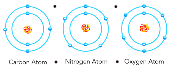 carbon, Nitrogen and Oxigen Atom