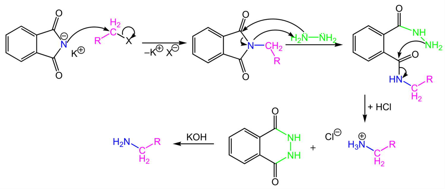 Gabriel phthalimide synthesis 