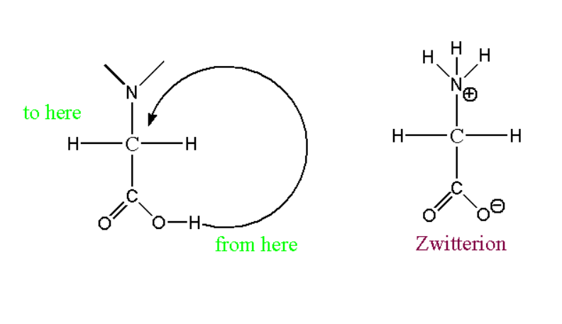 Zwitterion structure of glycine