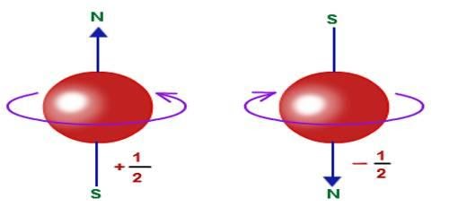 The spinning electron was successful in describing not only fine structure and the strange Zeeman Effect, but also other atomic phenomena. 