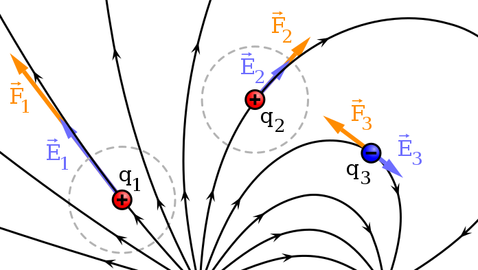 Direction of electric field and force from the positive and negative charge