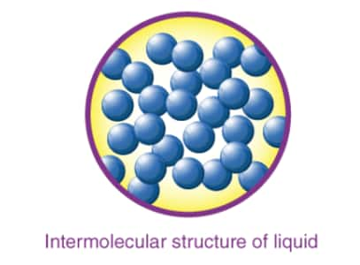 Intermolecular Structure of Liquid