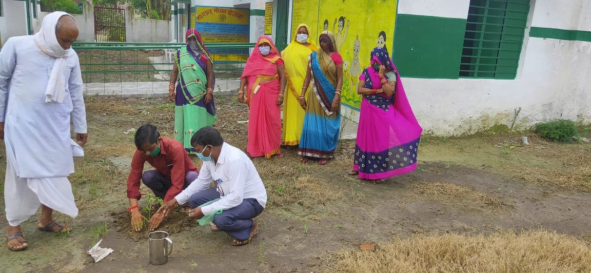 Mahesh-Kumar-UP-Teacher-tree-plantations-drive-featured-image