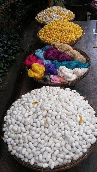 silk cocoons and silk