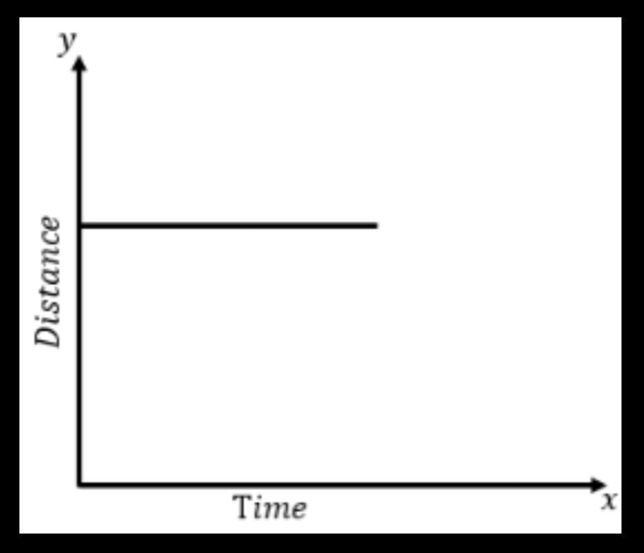 The parallel line shows that the time is changing but the position of the body is same.