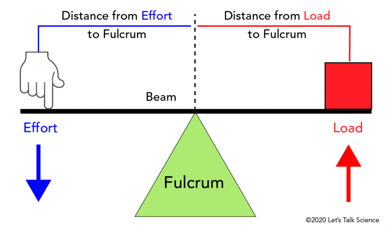 Basic parts of a lever showing the locations of the beam, fulcrum, effort and load