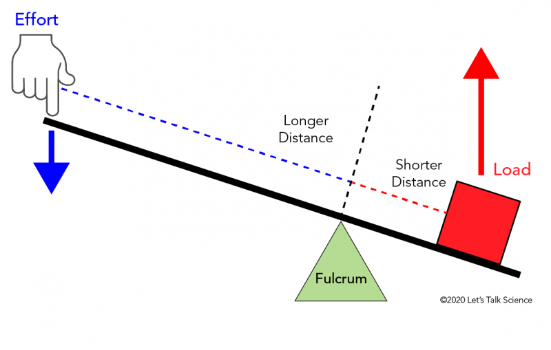 In a first class lever, the fulcrum is located between the load and the effort