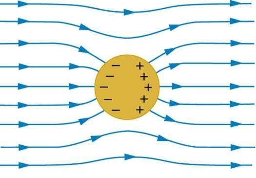 Electric field lines on a conductor are always perpendicular at its surface.