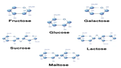 JEE 2022 : Chemistry-Glucose and Fructose in the Chair Structure