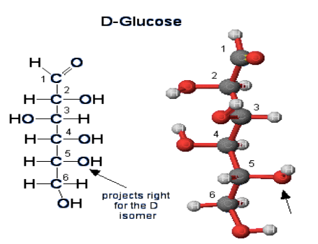 What is the structural formula for fructose? - Quora