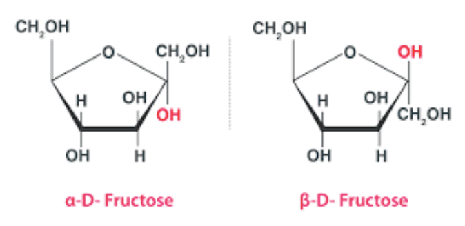 Fructose - American Chemical Society