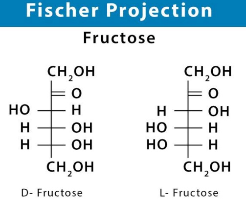 Fructose, Alpha-D-fructofuranose, Beta-D-fructofuranose Molecule. Cyclic  Form Stock Vector - Illustration of diabetes, molecule: 154966062