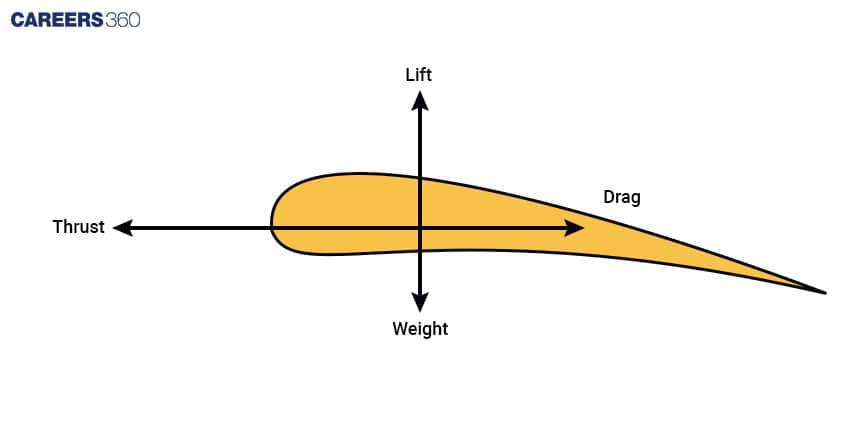 Explore The Physics of A Boomerang