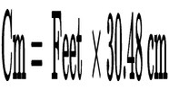 1 Foot Equals How Many Centimeters