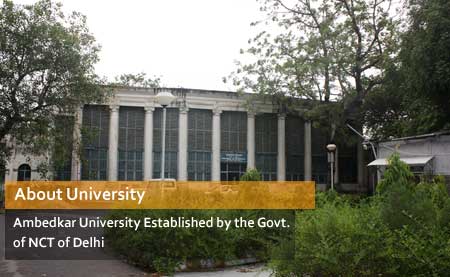 dr br ambedkar university delhi, is cuet result 2023 declared,Botany,www.cuet.nta.nic, cuet final answer key 2023,cuet ug result 2023 date and time, babasaheb bhimrao ambedkar university   