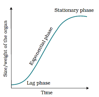 Sigmoid growth curve 