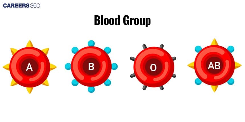 Types of Blood Group