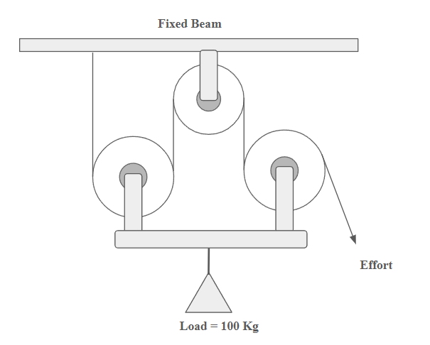 Sample Questions