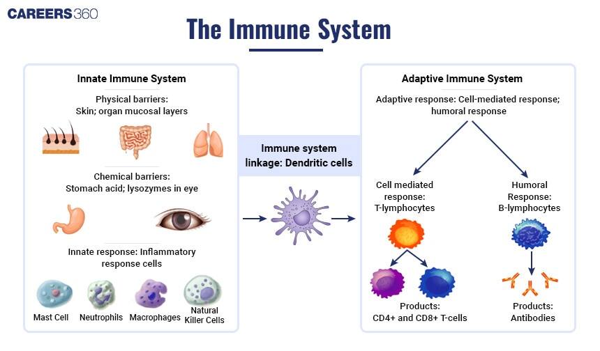  Innate and Acquired immunity