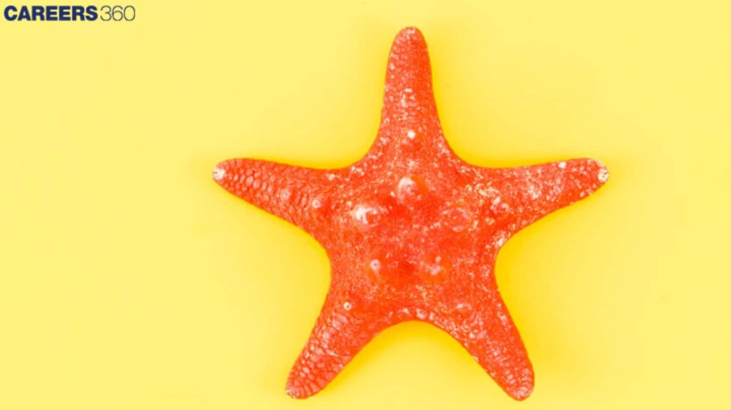 Starfish