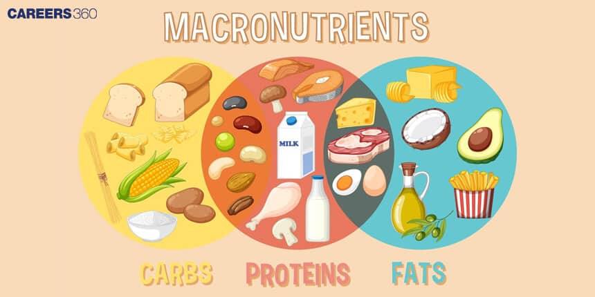 Macronutrients