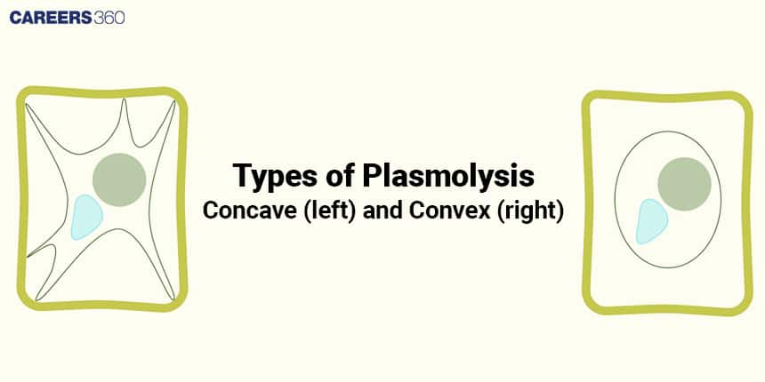 Types of Plasmolysis