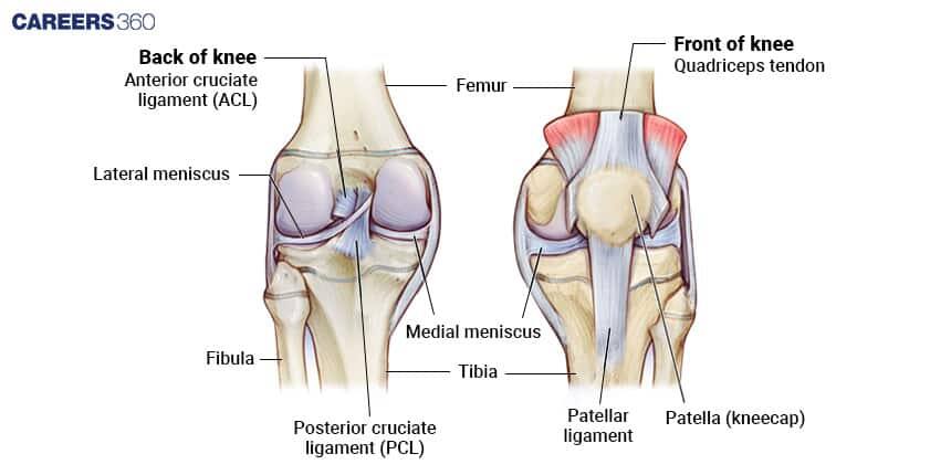 different kinds of movements