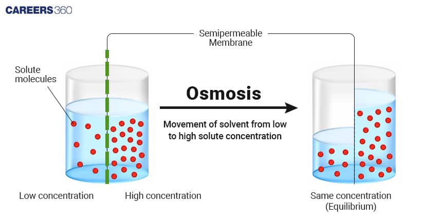 Osmosis mechanism