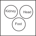 Venn Diagram Reasoning