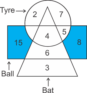 Representation based Venn Diagram