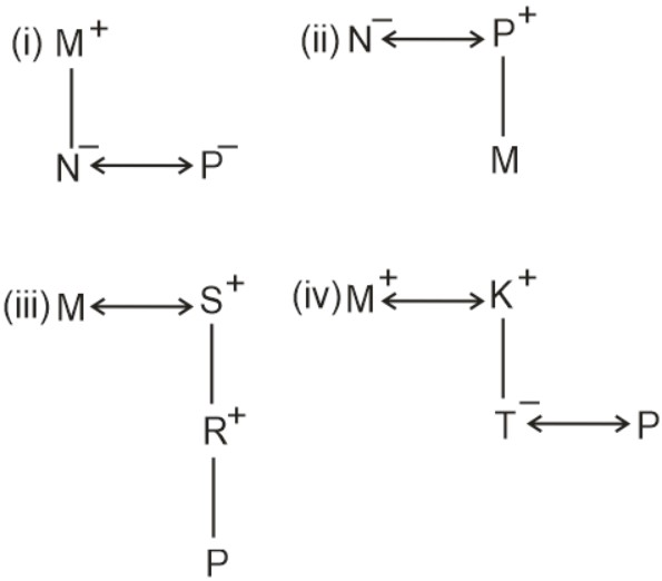 Blood Relation Representation